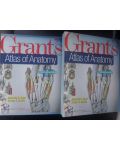 Grant`s: Atlas of anatomy (ed. 13) 1, 2 - Anne M. R. Agur, Arthur F. Dalley